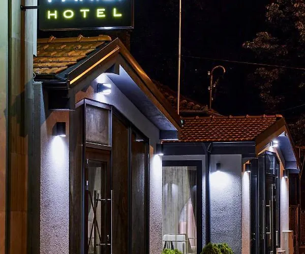 ホテル паризи